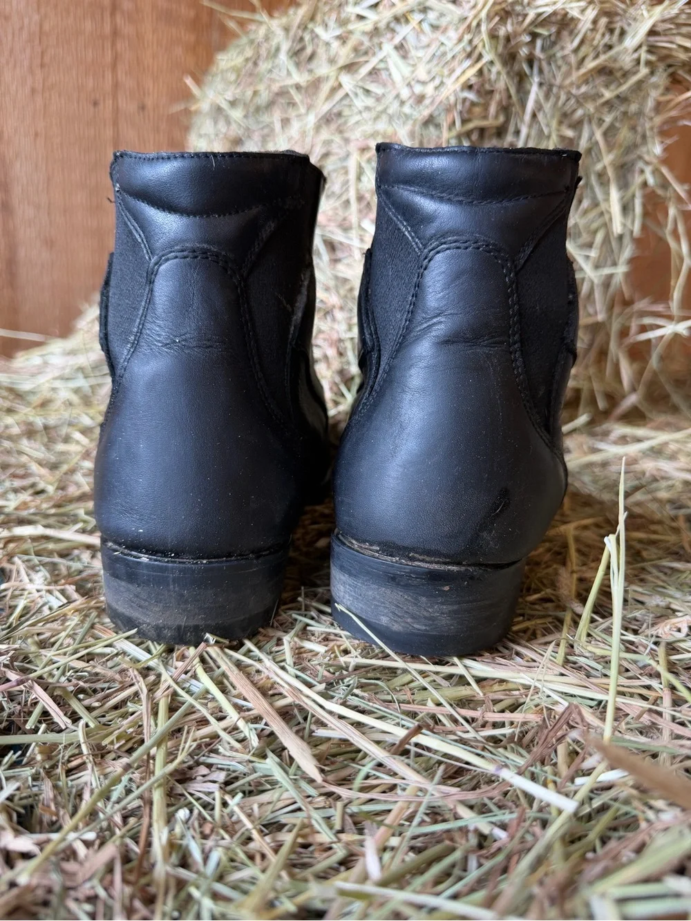 Ego 7 paddock boots - worn twice